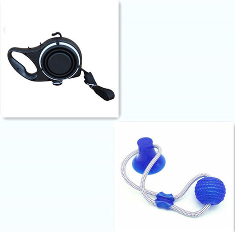 Pet Hydration Kit