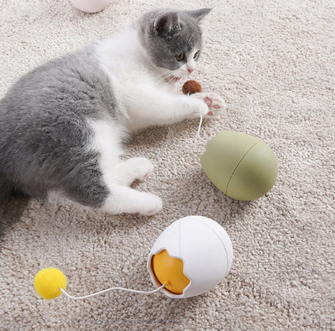 Funny Cat Wand