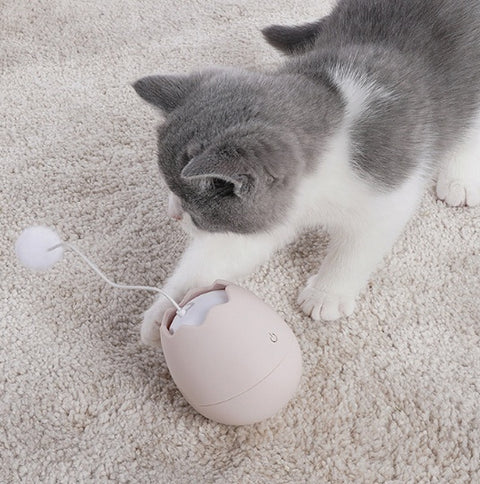 Funny Cat Wand