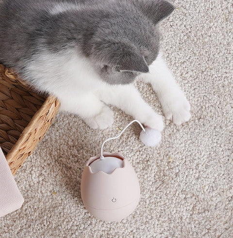 Funny Cat Wand