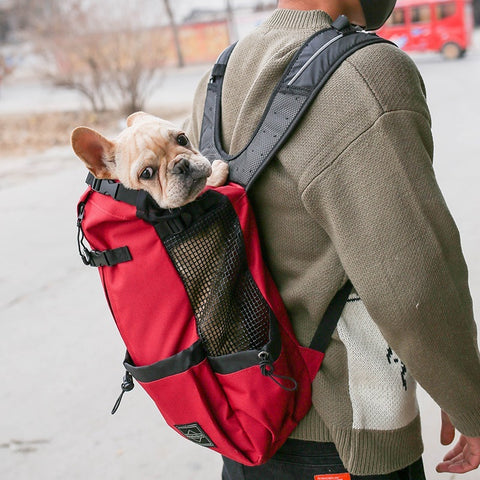 Portable Dog Backpack
